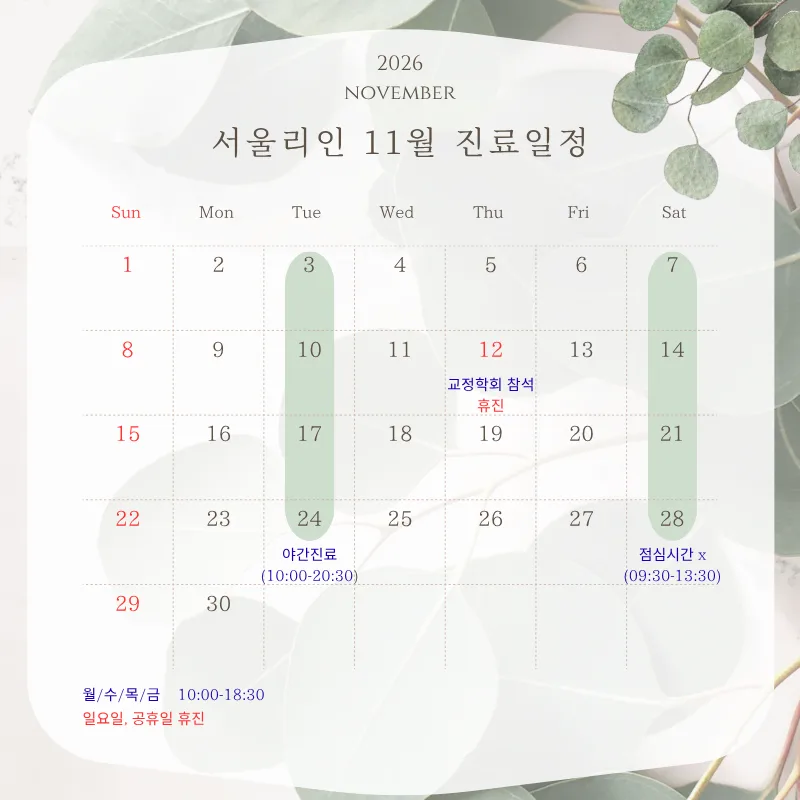 서울리인치과 11월 진료 일정
